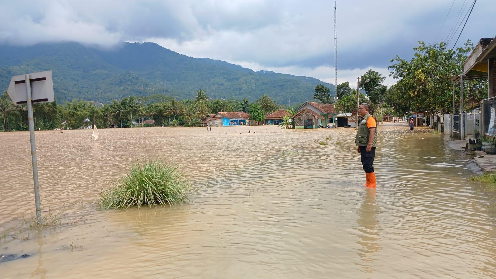 Banjir di Sukaresik Tasikmalaya Tak Hanya Rendam Rumah, Ratusan Hektar Sawah Terancam Gagal Panen