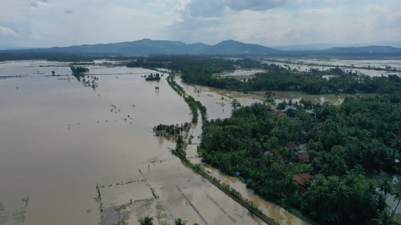 Banjir Kepung Empat Desa di Purwadadi Ciamis, Ratusan Rumah dan Ribuan Hektare Sawah Terendam