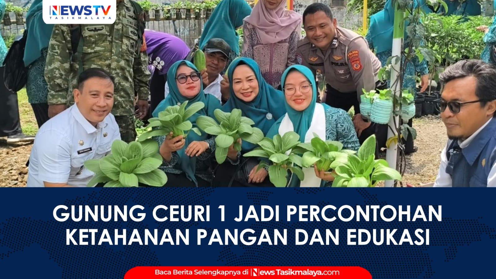 VIDEO: Binwil Kampung Binaan PKK Kota Tasikmalaya, Gunung Ceuri 1 Jadi Percontohan Ketahanan Pangan dan Edukasi Masyarakat