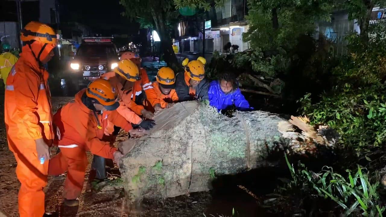 BPBD Kota Tasikmalaya Evakuasi Pohon Tumbang Akibat Cuaca Ekstrem