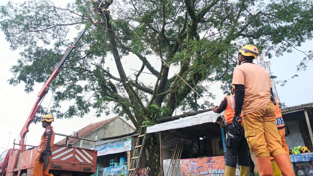BPBD Pangkas Pohon Rawan Tumbang di Sejumlah Titik di Kota Tasikmalaya