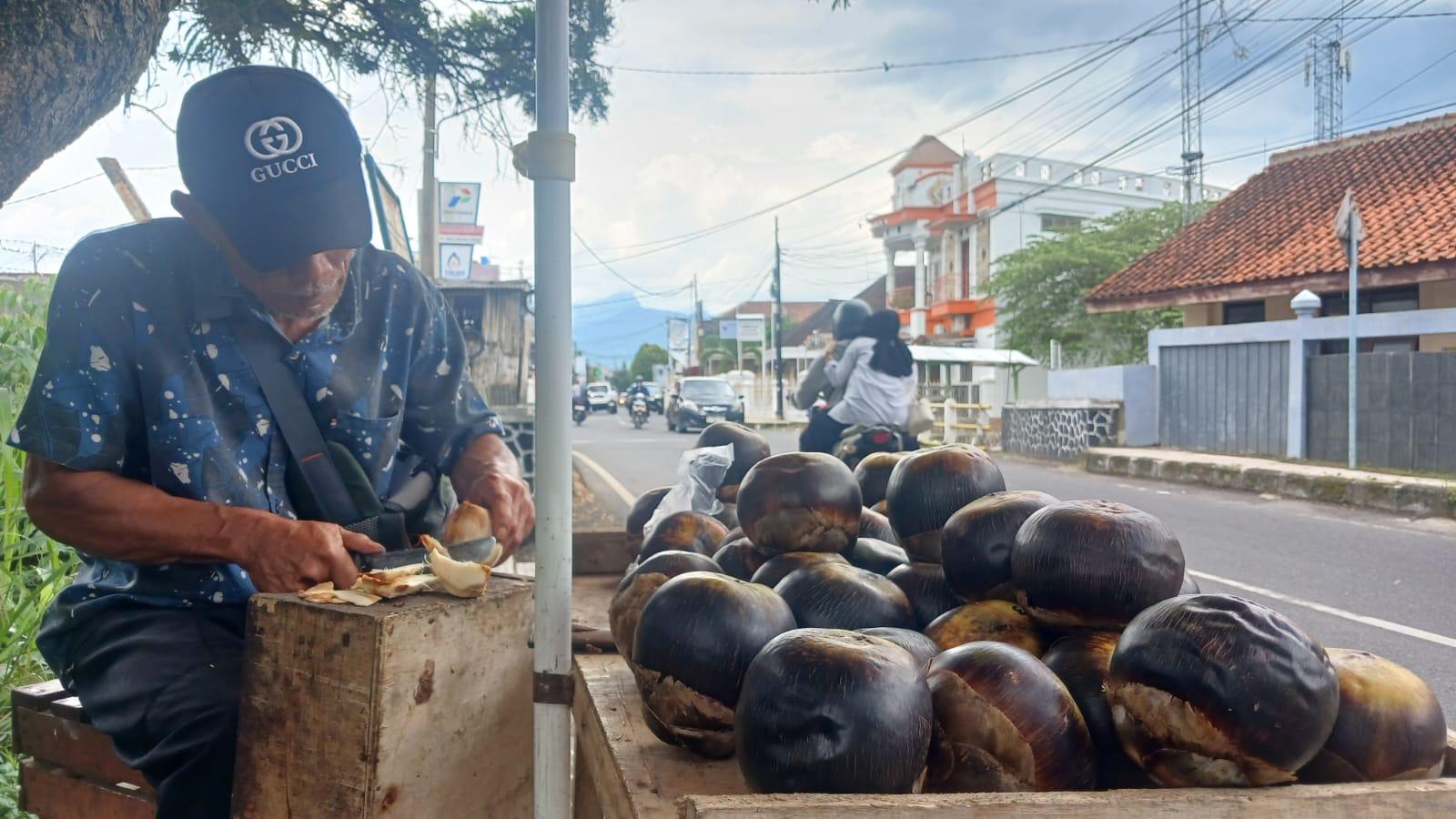 Buah Lontar Asli Madura Dipercaya Miliki Banyak Khasiat untuk Kesehatan, Hadir di Kota Tasikmalaya
