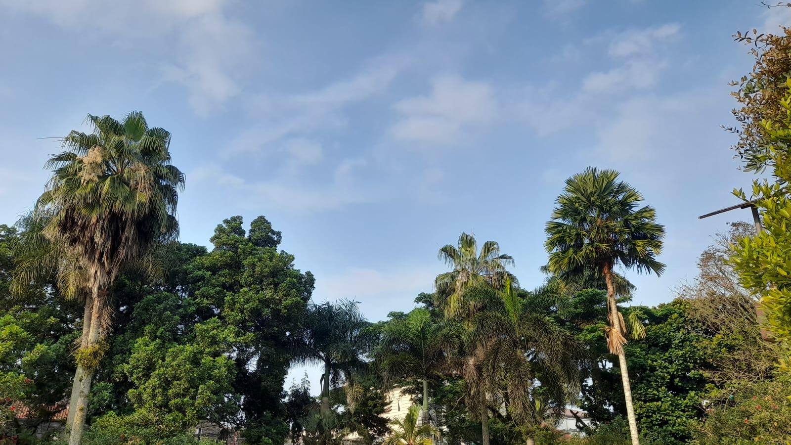 Prakiraan Cuaca Kota Tasikmalaya Hari Ini, Rabu 8 Oktober 2025