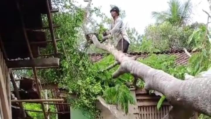 Cuaca Ekstrem Landa Ciamis, Dua Rumah Rusak Terkena Pohon Tumbang