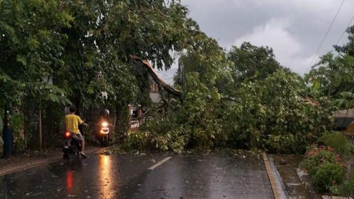 Cuaca Ekstrem Terjang Kota Banjar, Pohon Tumbang Tutup Jalan dan Rusak Rumah Warga