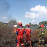 Sehari 4 Kali Kebakaran di Tasikmalaya: 3 Lahan Kering dan 1 Toko di Nagarawangi Hangus