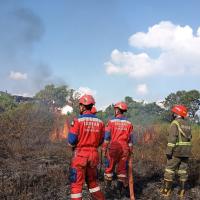 Sehari 4 Kali Kebakaran di Tasikmalaya: 3 Lahan Kering dan 1 Toko di Nagarawangi Hangus