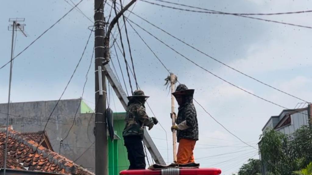 Tiga Warga Tersengat Lebah, Damkar Kota Tasikmalaya Turun Tangan