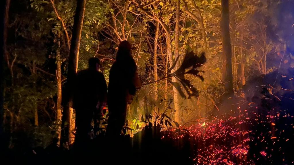 Diduga Akibat Puntung Rokok, Lahan Perhutani 1,5 Hektare di Pamarican Ciamis Terbakar