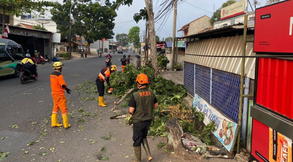 Diduga Tersenggol Truk, Pohon Mahoni di Jalan Ir. H. Juanda Tasikmalaya Tumbang Tutupi Jalan