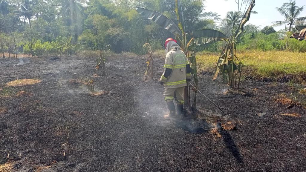 Ditiup Angin Kencang, Kebakaran Lahan Kosong di Buniseuri Ciamis Sempat Ancam Pemukiman Warga