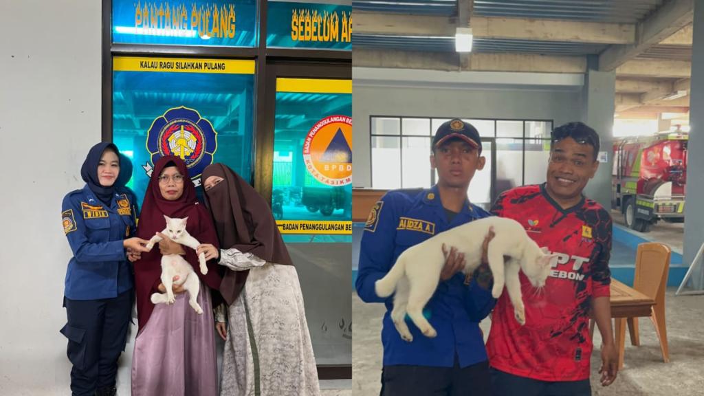 Kisah Unik Pagi Hari di Mako Damkar Tasikmalaya: Petugas Evakuasi Kalung Aluminium Tebal yang Bikin Kucing Sesak