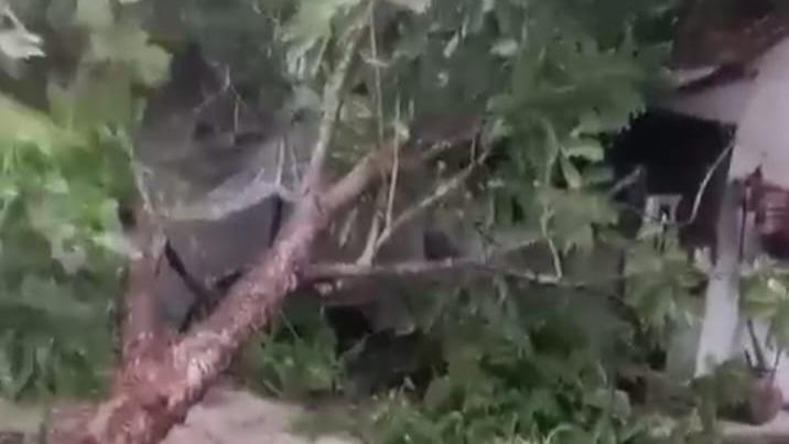 Hujan Badai Landa Ciamis, Atap Rumah Warga Rusak Diterjang Pohon Tumbang