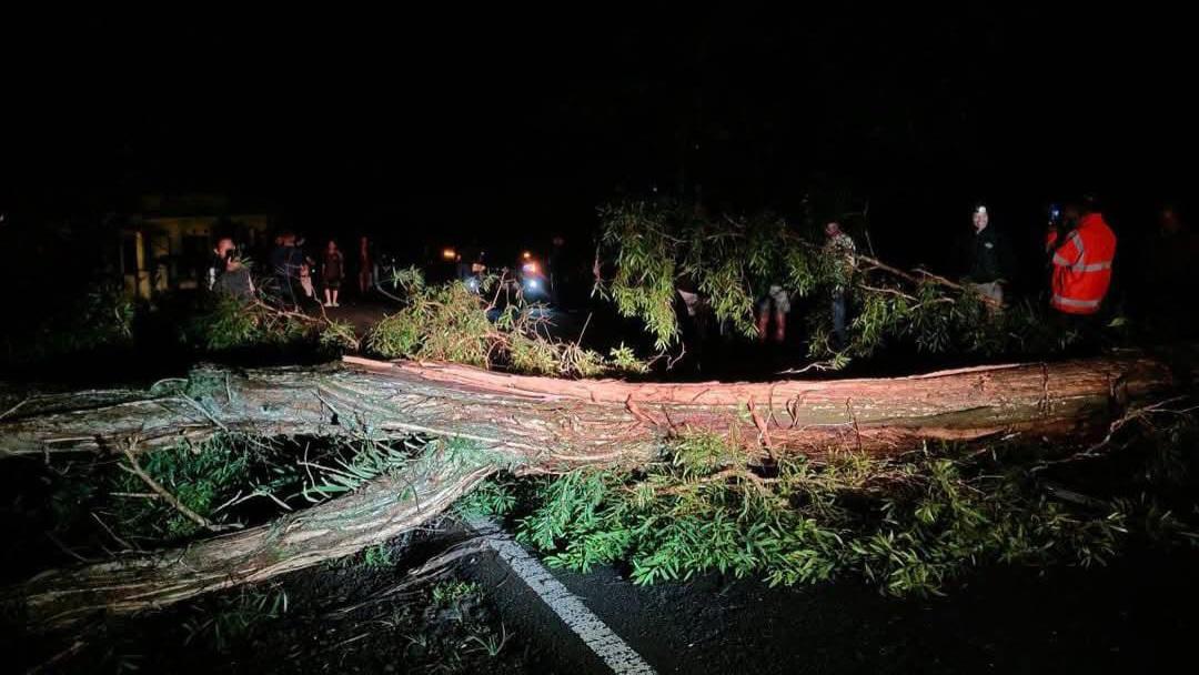 Hujan Deras, Pohon Tumbang Tutup Jalur Garut-Tasikmalaya