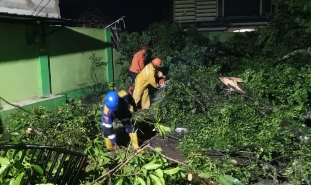 Hujan Disertai Angin Kencang, 10 Rumah Warga di Ciawi Tasikmalaya Rusak Tertimpa Pohon