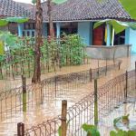 Hujan Seharian Picu 11 Bencana di Ciamis, BPBD Kerahkan Tim Darurat