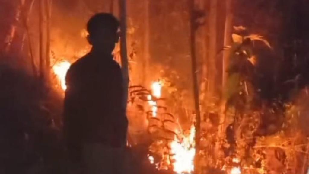 Kebakaran Lahan di Ciamis, Dua Hektar Kebun Jati Terbakar
