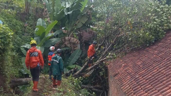 Cuaca Ekstrem Sebabkan Pohon Tumbang dan Kerusakan di Ciamis