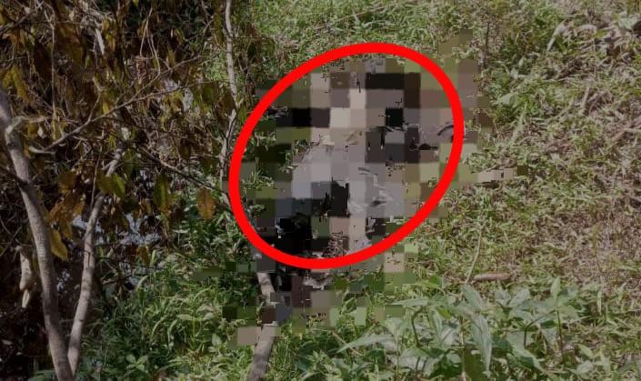 Warga Ciamis Temukan Mayat Membusuk di Kebun Singkong