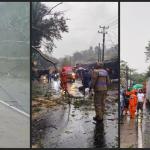 Pohon Tumbang di Cipaku Picu Kemacetan di Jalur Ciamis-Kawali