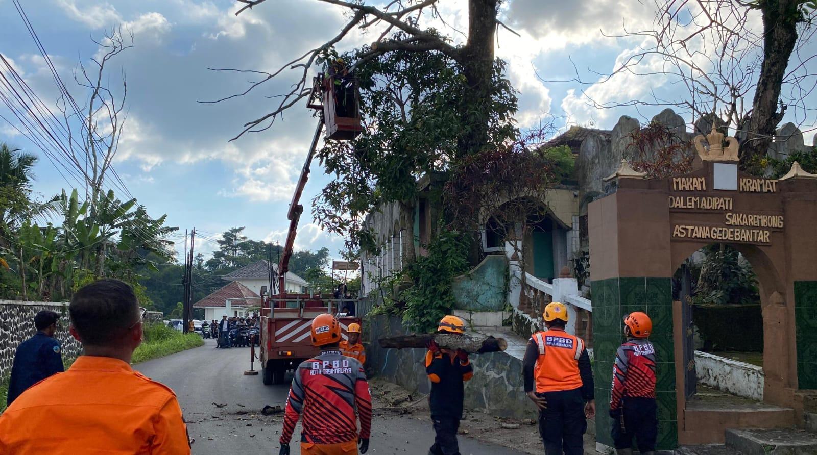 BPBD Kota Tasikmalaya Tebang Pohon Mati yang Membahayakan di Jalan Bantar