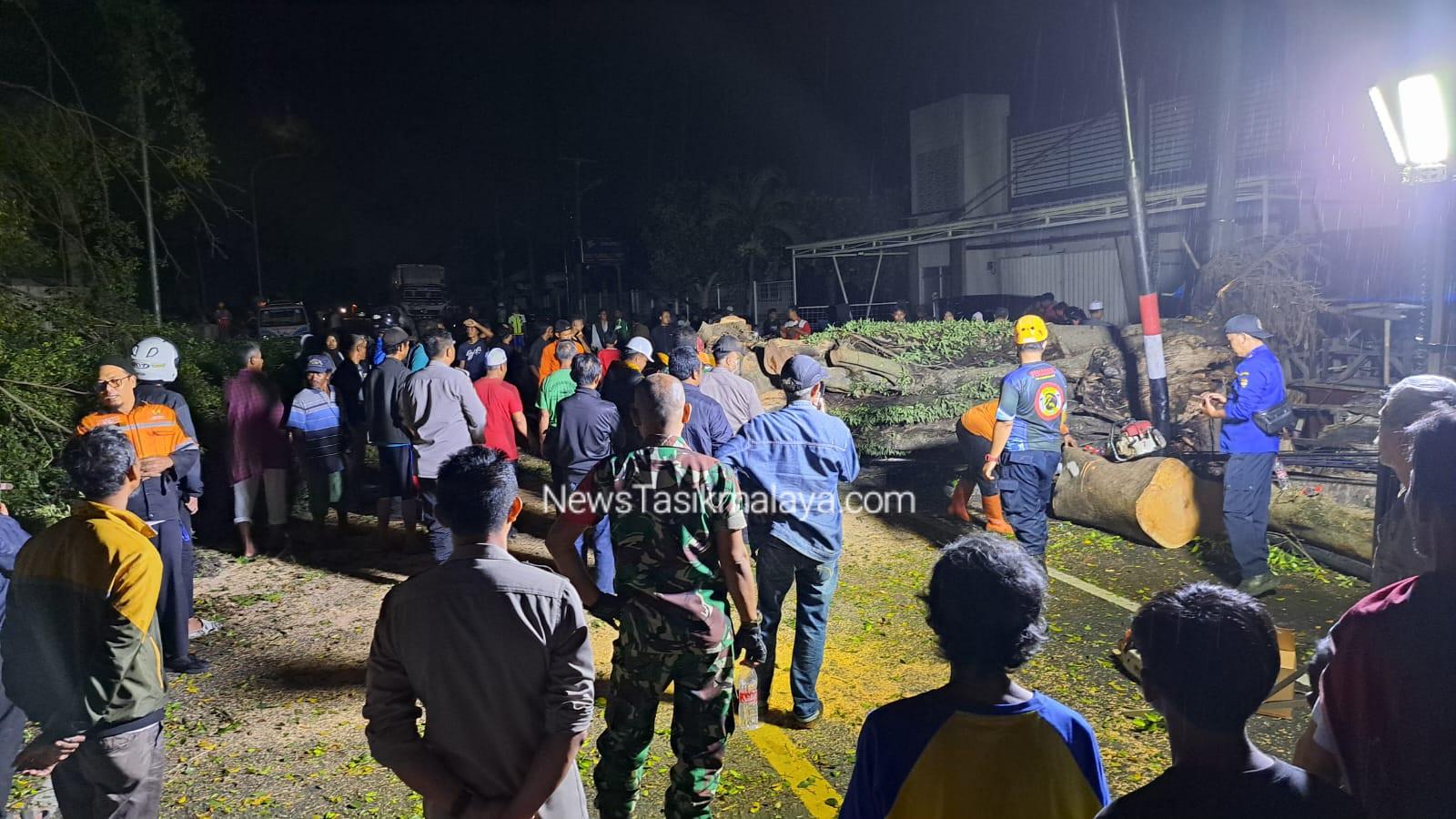 BREAKING NEWS! Pohon Beringin Besar Tumbang di Jalan Nasional Cisayong–Rajapolah, Tim Gabungan Lakukan Evakuasi