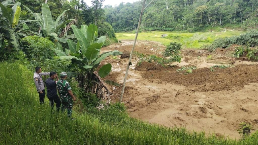Saluran Air Pecah Picu Longsor di Cisayong Tasikmalaya, Dua Hektar Lahan Pertanian Tertimbun