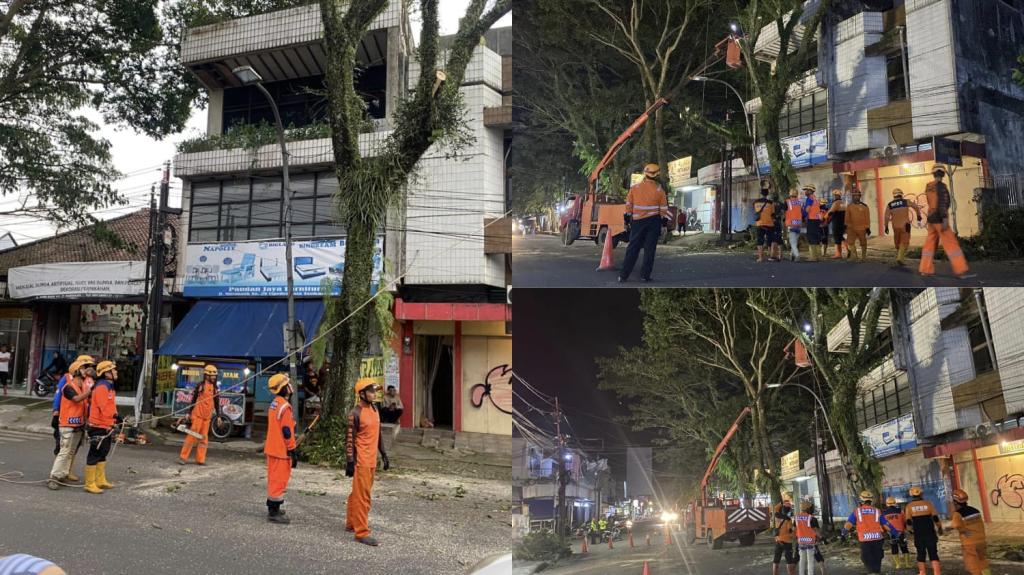 Antisipasi Pohon Tumbang, BPBD Kota Tasikmalaya Pangkas Pohon Lapuk