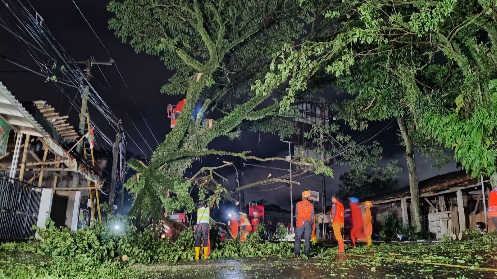 BPBD Pangkas Pohon Rawan Tumbang di Jalan Moh Hatta Hingga Dini Hari, Demi Antisipasi Bahaya