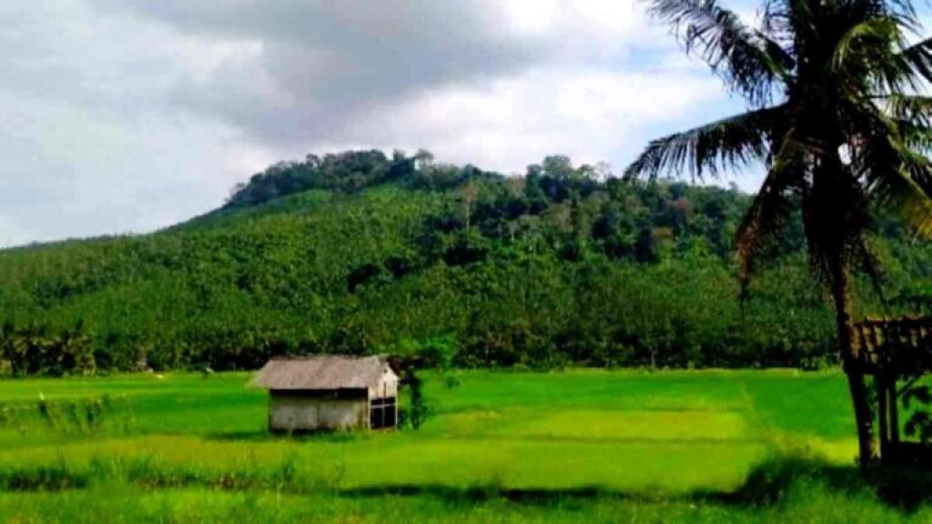 Batu Bangkis, Monolit Sakral di Lereng Gunung Sangkur Kota Banjar