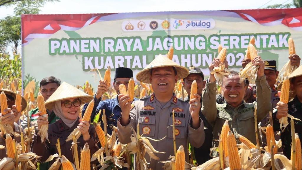 Panen Raya Jagung Serentak di Ciamis, Polres Dukung Swasembada Pangan Nasional Kuartal I 2026