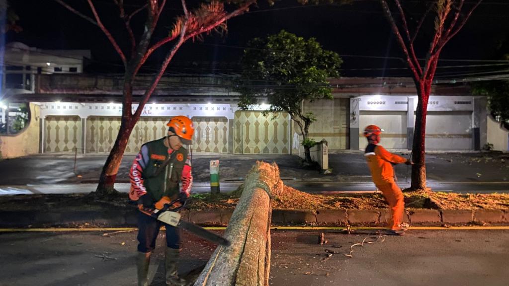 Angin Kencang Terjang Tasikmalaya, Enam Pohon Tumbang dan Dua Rumah Rusak