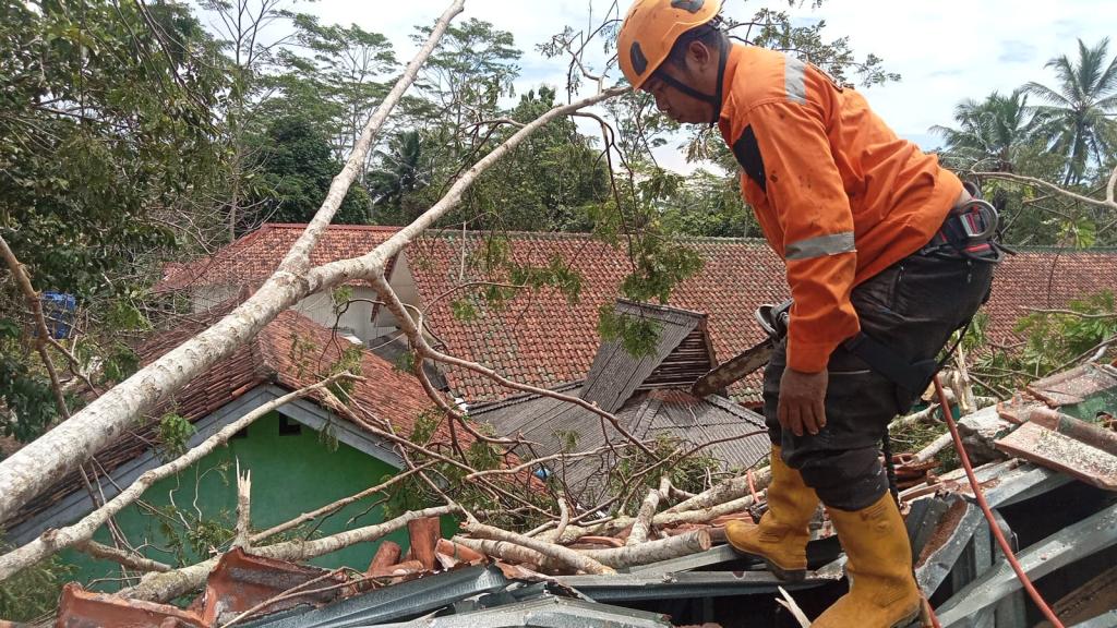 BPBD Kota Tasikmalaya Tangani Pohon Tumbang Timpa Atap Ruang Guru SDN Margamulya