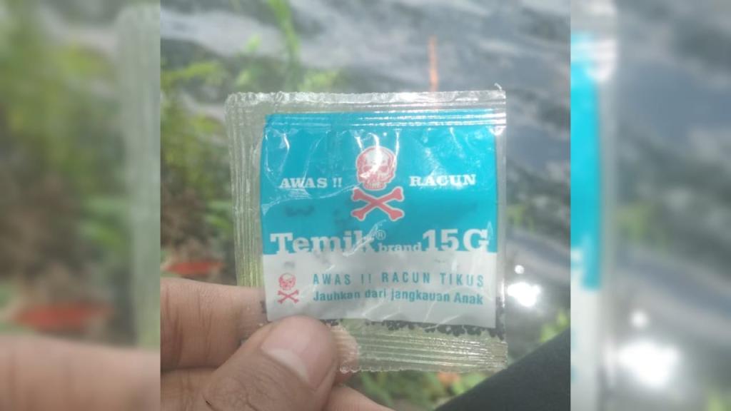 Korban Sempat Buat Status WA Rencana Minum Racun Tikus Dicampur Kopi