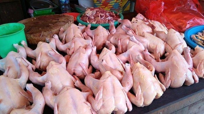 Harga Ayam di Banjar Naik Jelang Lebaran
