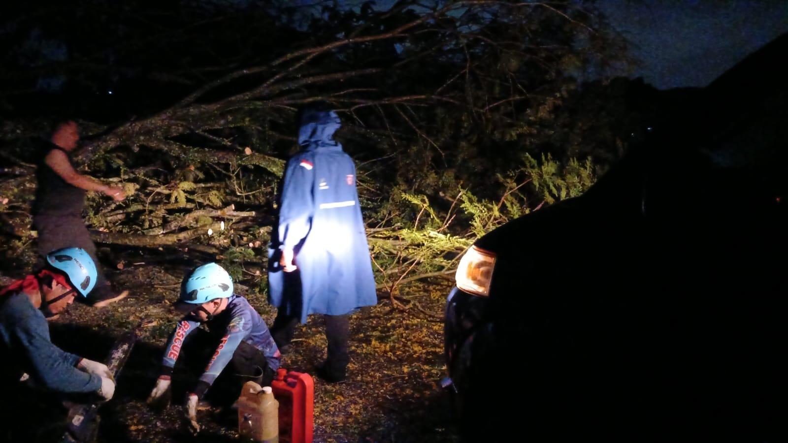 Evakuasi Pohon Tumbang di Kompleks Olahraga Dadaha Tasikmalaya Terkendala Penerangan