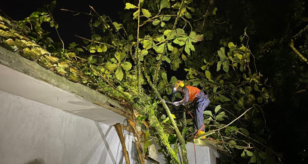 Cuaca Ekstrem di Kota Tasikmalaya, Rumah Warga Tuguraja Rusak Tertimpa Pohon Tumbang