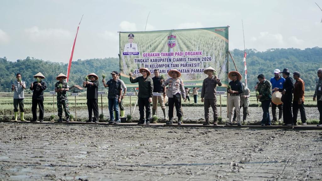 Dorong Pertanian Sehat, Bupati Ciamis Luncurkan Gerakan Tanam Padi Organik di Pamarican