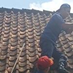 Masuk ke Atap Rumah Makan Dapur Ambu, Petugas Damkar Ciamis Berhasil Evakuasi Biawak