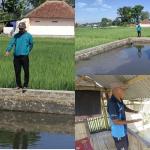 Diduga Aksi Pencurian, Tiga Kolam Ikan di Mangkubumi Mendadak Surut, Warga Temukan Linggis