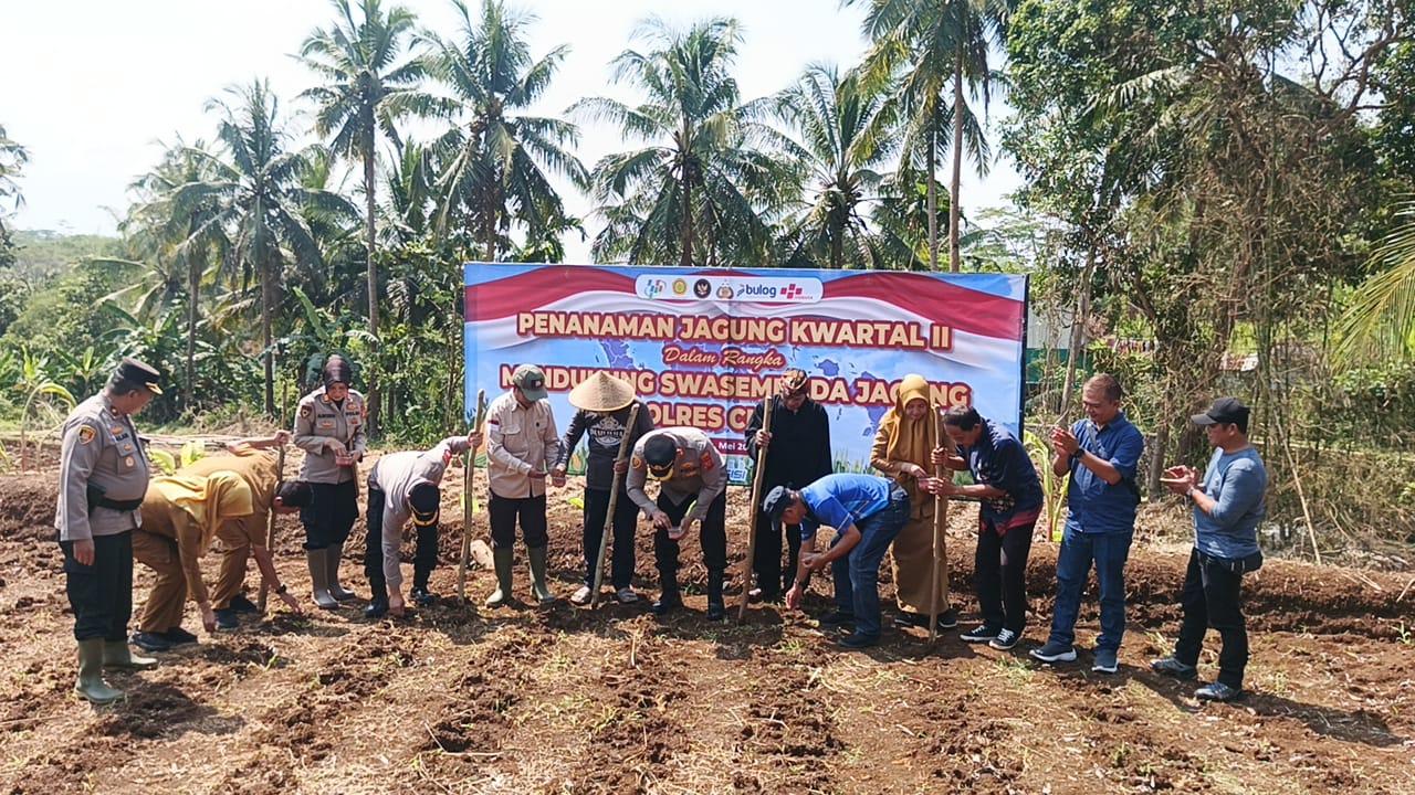 Dukung Swasembada Pangan, Polres Ciamis Tanam Jagung Serentak di Lahan 2 Hektare