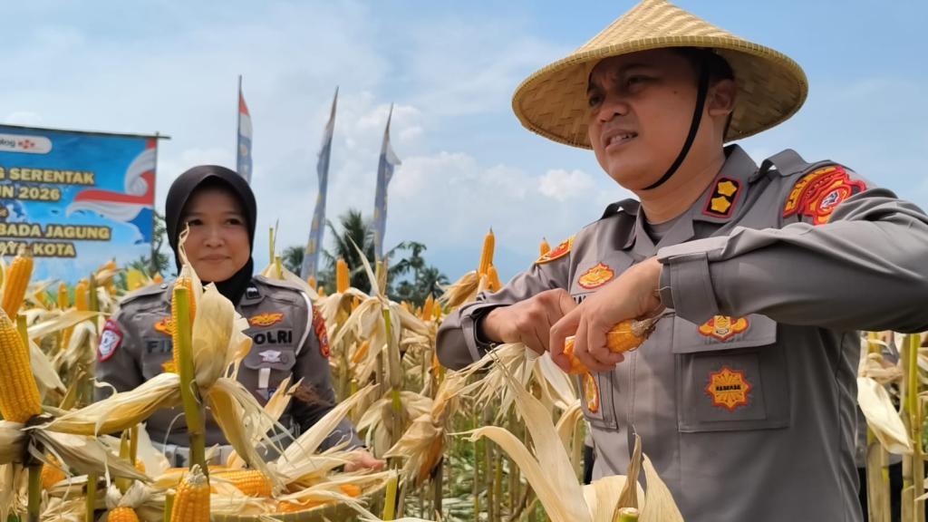 Polres Tasikmalaya Kota Gelar Panen Raya Jagung Serentak Kuartal II 2026 di Cisayong, Hasil Capai 10 Ton