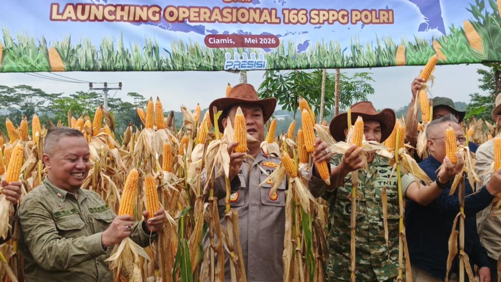 Polres Ciamis Gelar Panen Raya Jagung, Pupuk Mikrobio Buatan Personel Jadi Sorotan