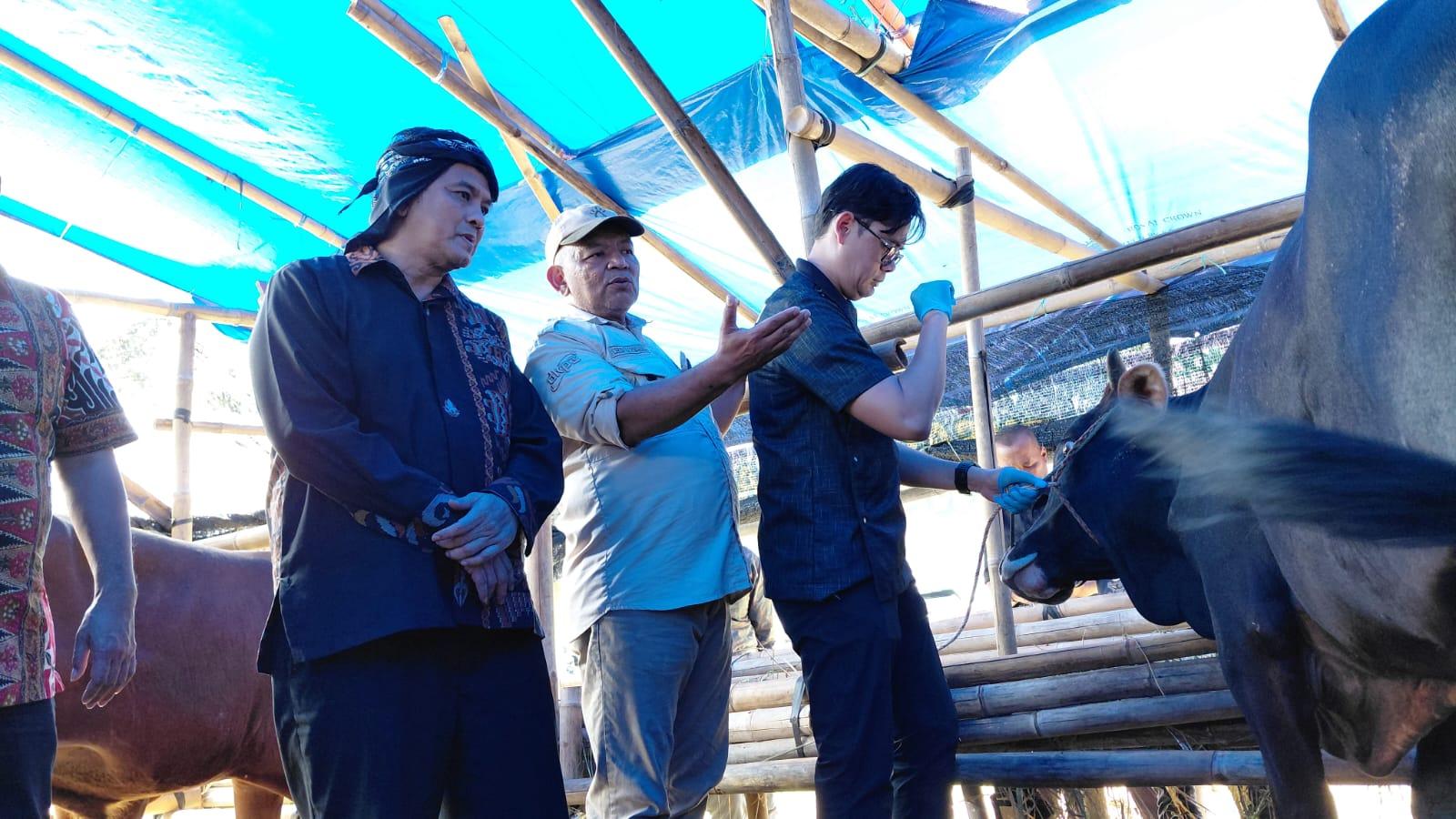 Pimpin Sidak Lapak Kurban di Jalan Letnan Harun, Plh Wali Kota Tasikmalaya Pastikan 1.532 Hewan Aman Jelang Iduladha