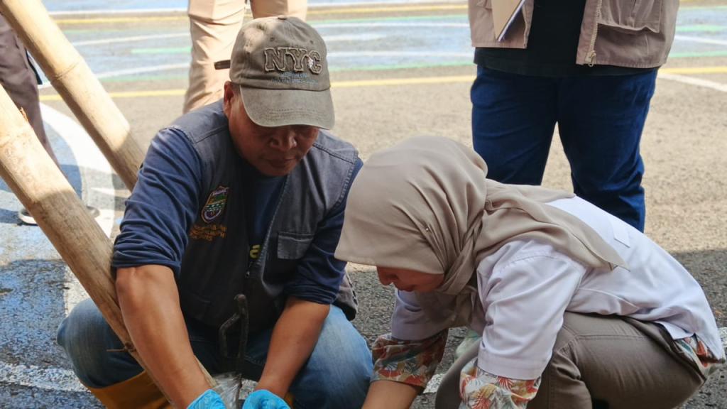 Ciamis Zero PMK di Iduladha 2026, Dinas Peternakan Pastikan Ribuan Hewan Kurban Sehat dan Layak Konsumsi
