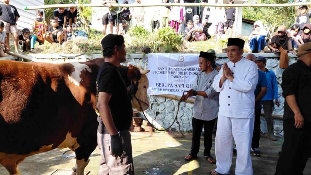 Diserahkan Diky Candra, Sapi Bantuan Presiden Prabowo di Cibeas Dibeli dari Peternak Tasikmalaya