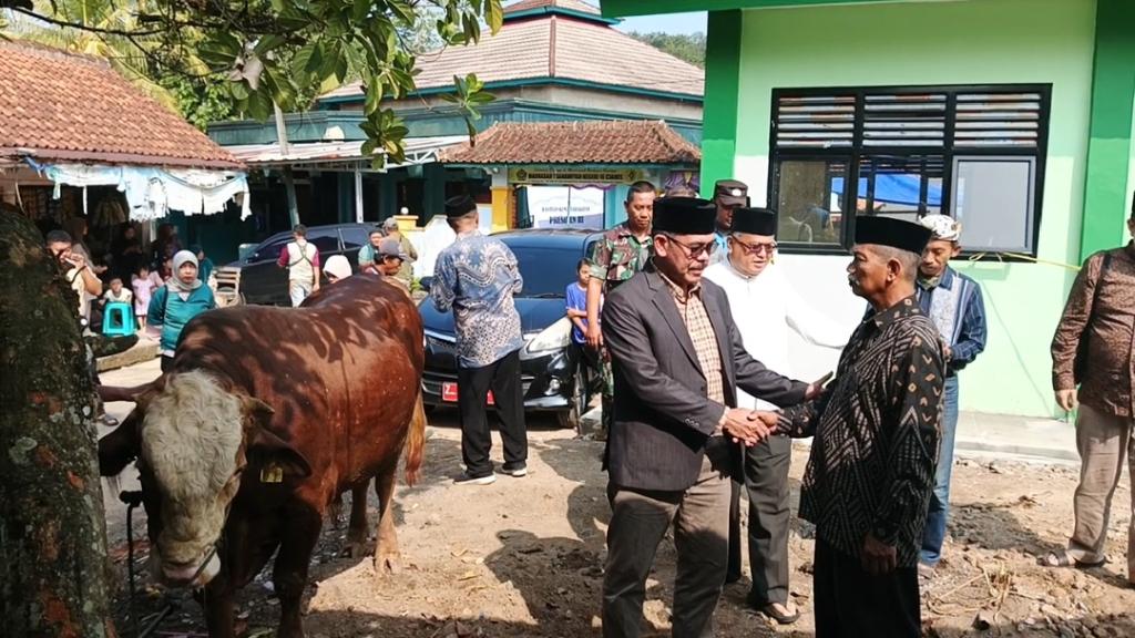 Sapi Kurban Presiden Prabowo Si Bison Seberat 1 Ton Lebih Disalurkan ke Perbatasan Ciamis-Jateng