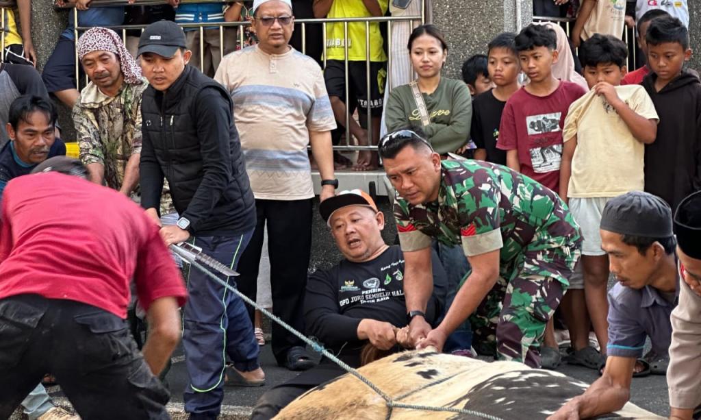 Masjid Agung Kota Tasikmalaya Sembelih Sapi Raksasa 1,2 Ton, Babinsa Kodim 0612 Kawal Ketat Pendistribusian Daging