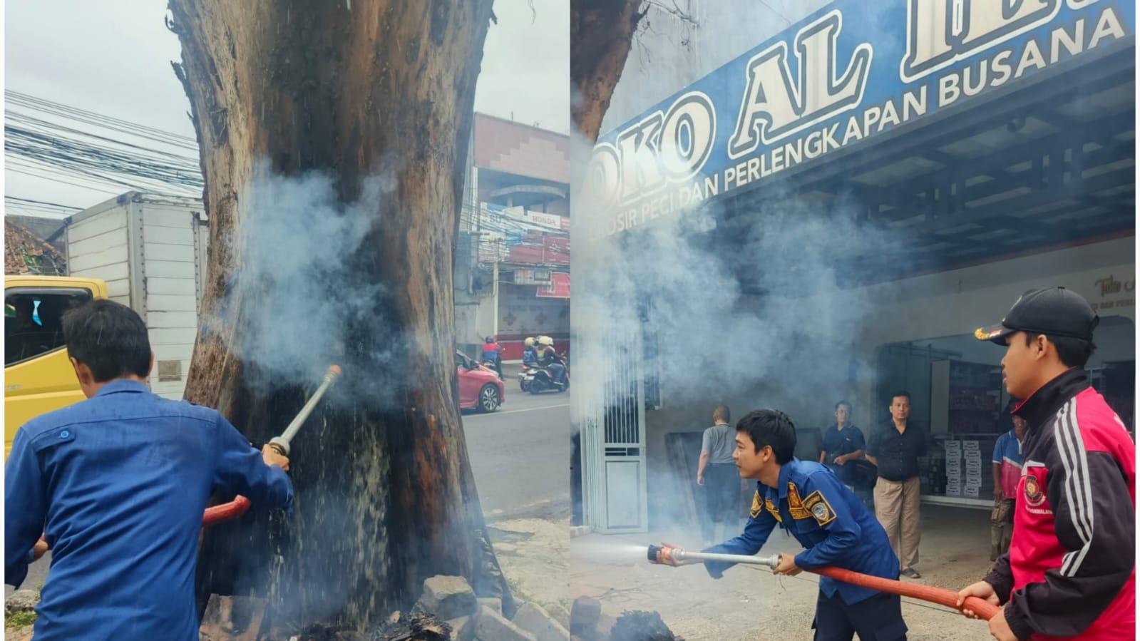 Bikin Panik! Pohon di Jalan R.E. Martadinata Tiba-tiba Terbakar, Damkar Kota Tasikmalaya Gercep Padamkan Api