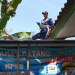 Hari Pertama Sekolah di TK ABA 2 Banjarsari Ciamis Dihebohkan Kemunculan Biawak Sepanjang 1 Meter